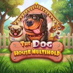 The Dog House Multihold game at Boho Casino for Australia players The Dog House Multihold game at Boho Casino for Australia players
